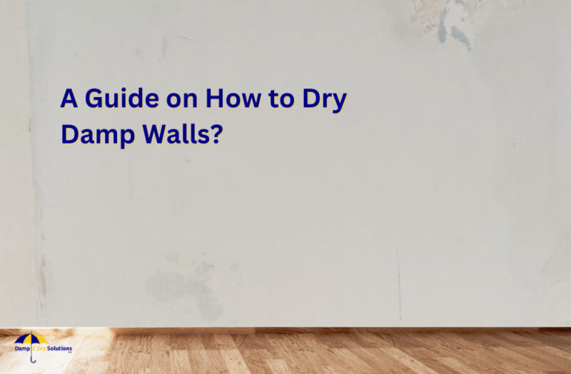 A Guide on How to Dry Damp Walls?