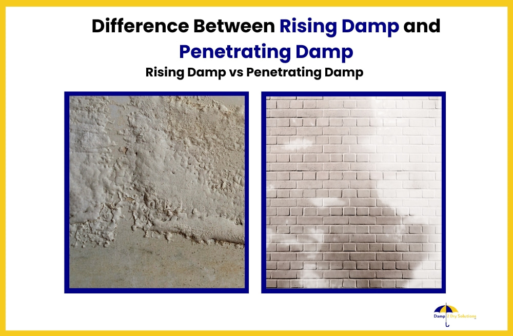 What is the Difference Between Rising Damp and Penetrating Damp?