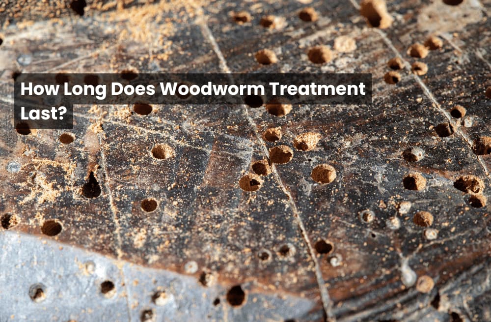 How Long Does Woodworm Treatment Last?