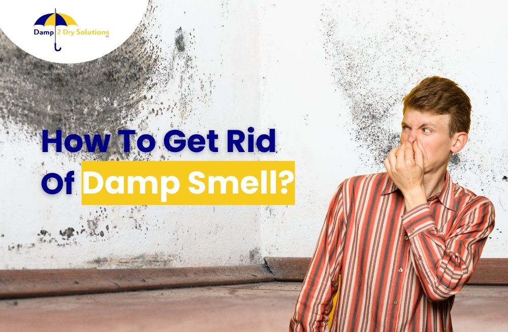 How To Get Rid Of Damp Smell?