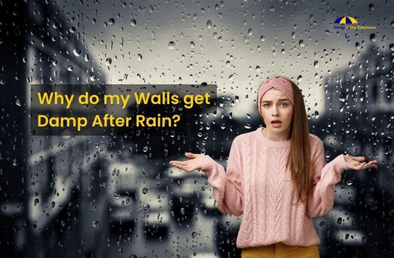 why do my walls get damp after rain