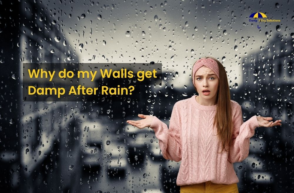 Why do my Walls get Damp After Rain?